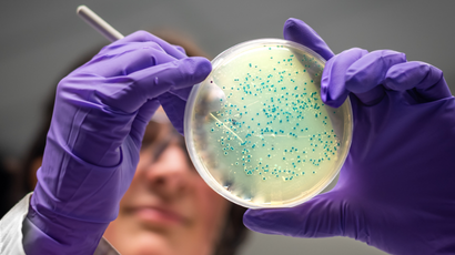 Bacteriologia Aplicada à Biotecnologia em Saúde