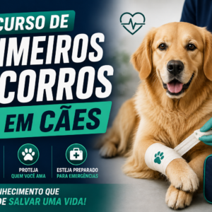 Primeiros Socorros para Cães: Guia prático para tutores salvarem vidas