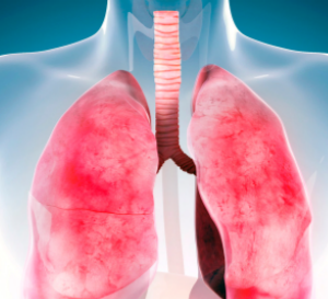 Fisiologia Respiratória Aplicada à Ventilação Mecânica